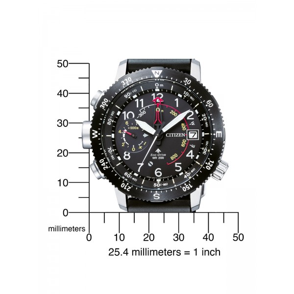 Citizen Herrenuhr Hau Promaster Al BN4044-15E