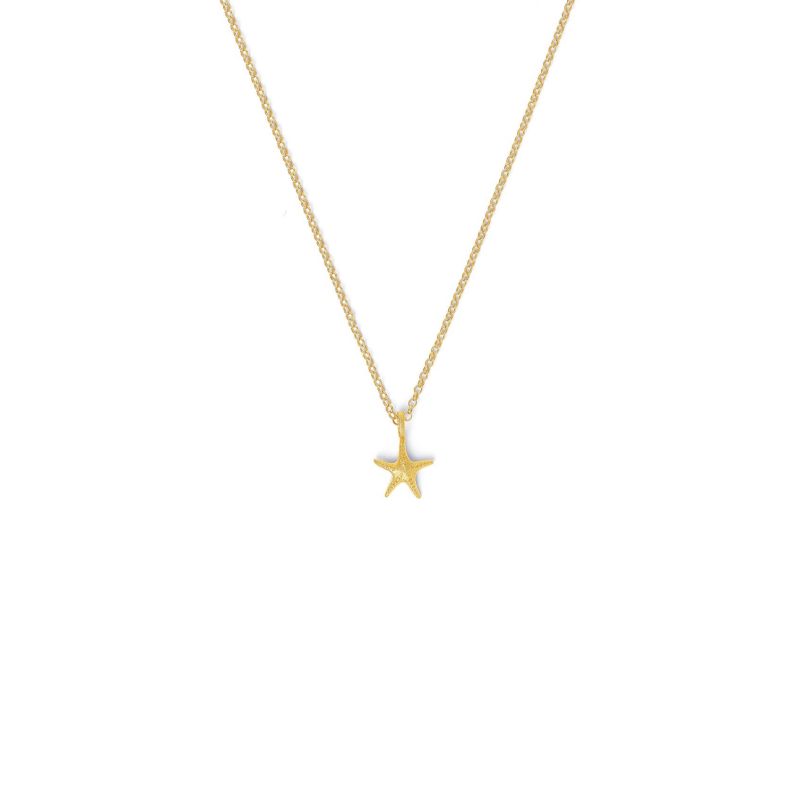Bernd Wolf Kette Seastar Designlinie Maritim, Kette mit Anhänger, Sterlingsilber 925, 24-Karat-goldplattiert